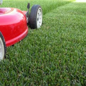 lawn-care-tips-summer