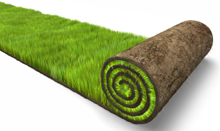 Turf Suppliers News
