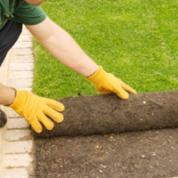 laying_turf