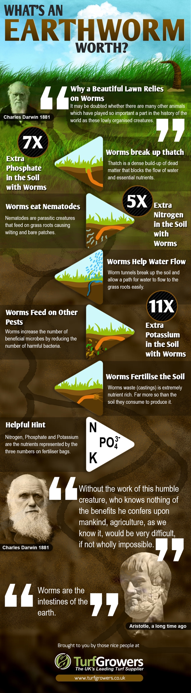worms-infographic