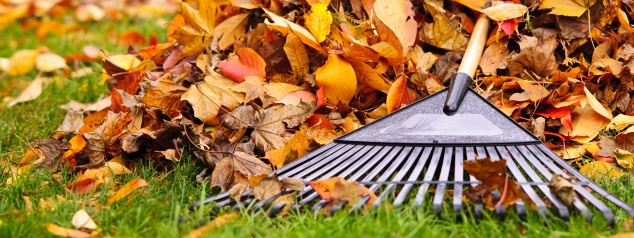 autumn-lawn-care