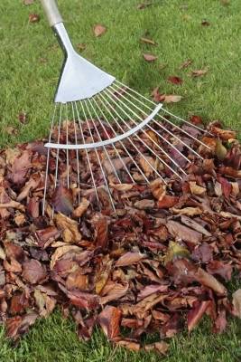 Autumn-Leaves