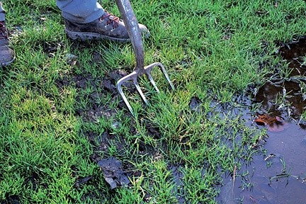 large waterlogged lawn