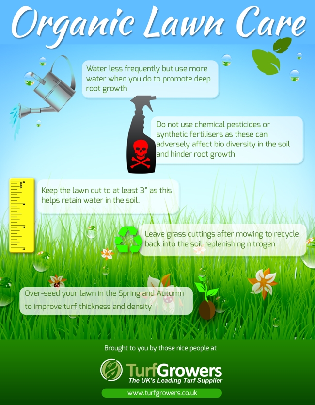 lawncare-infographic