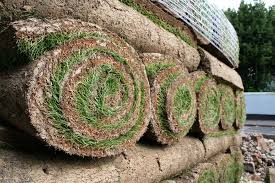 rolls of turf