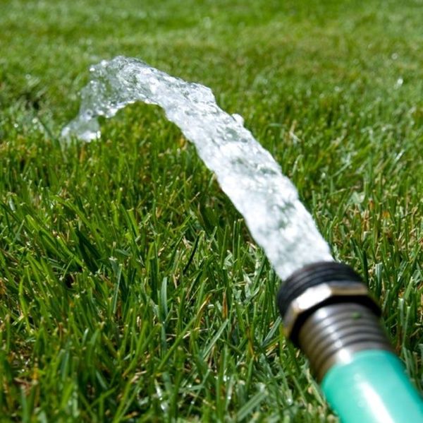 watering turf