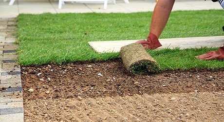 What is the Best Time of Year to Lay Turf?