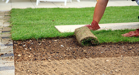 what time of year to lay turf