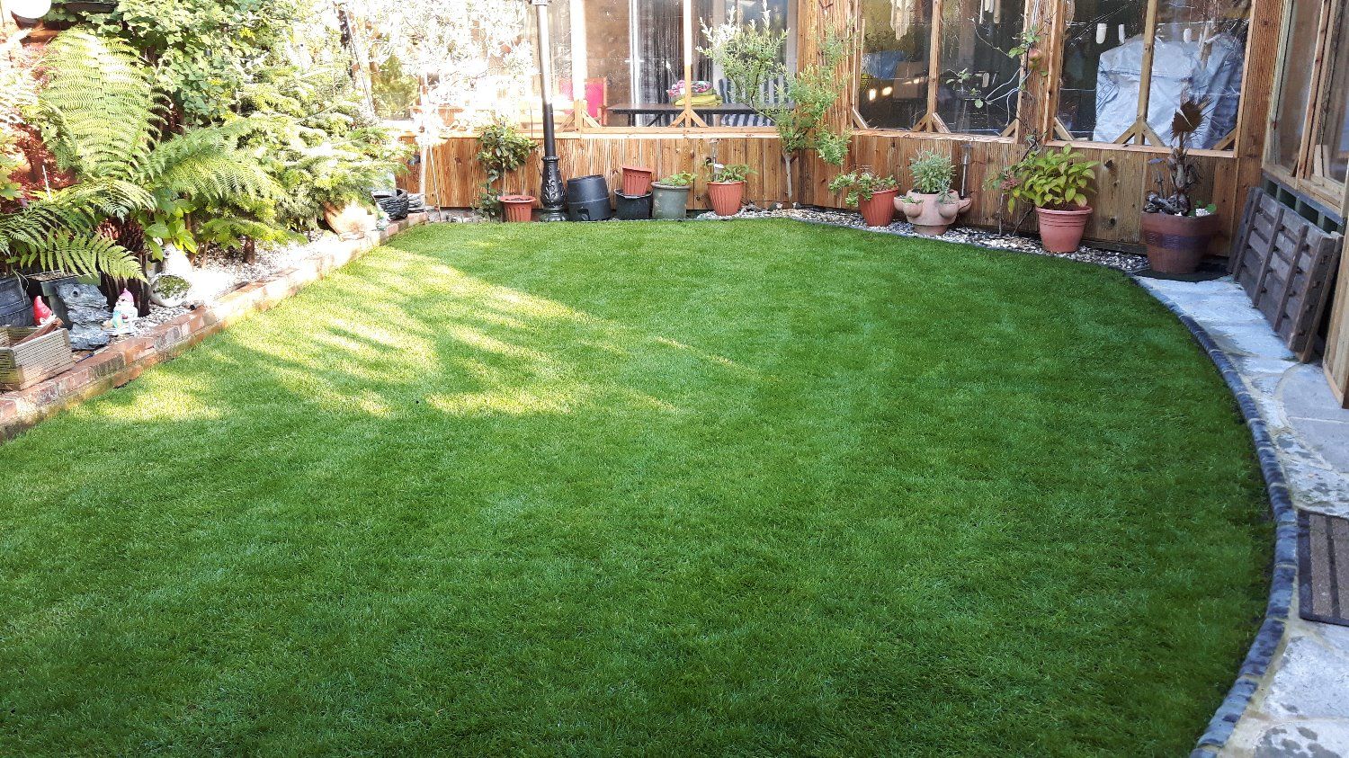 Family Lawn Turf